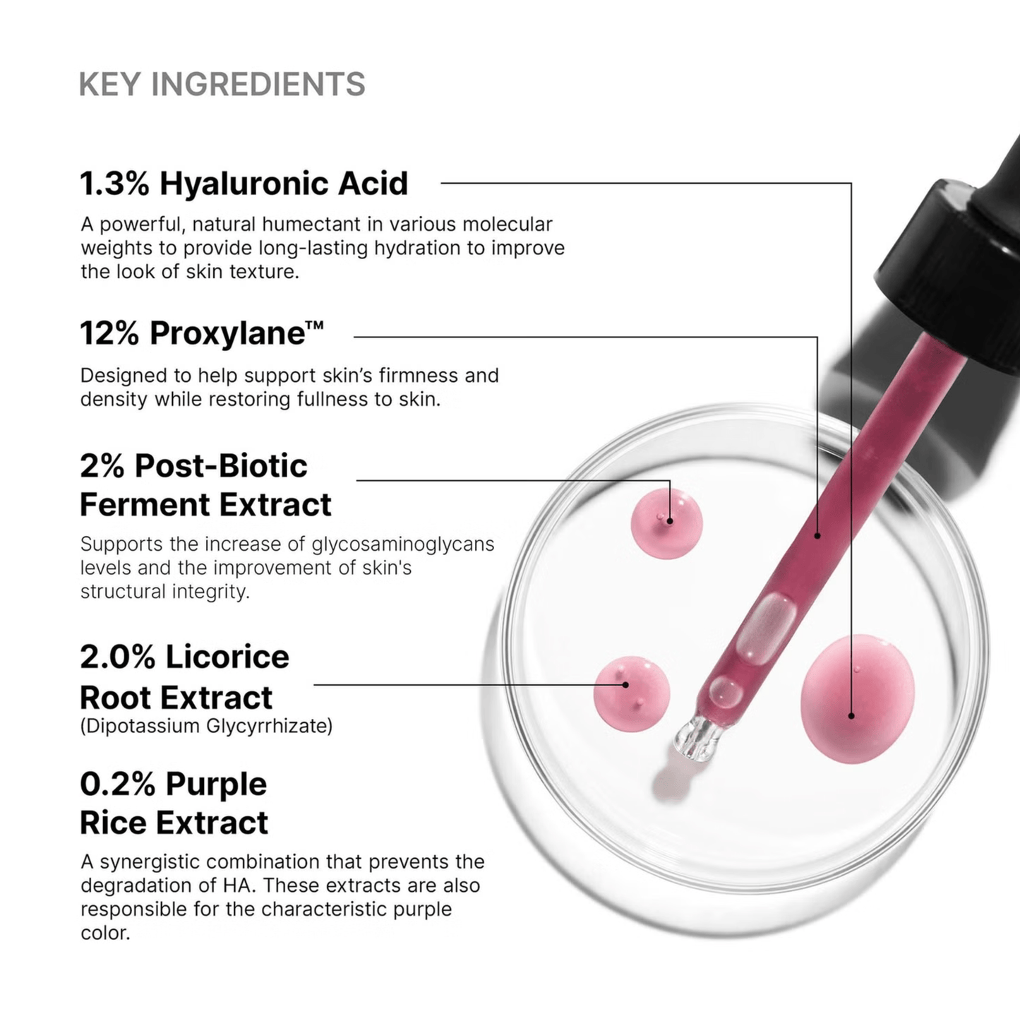 Skinceuticals HA Intensifier Multi-Glycan - NEW